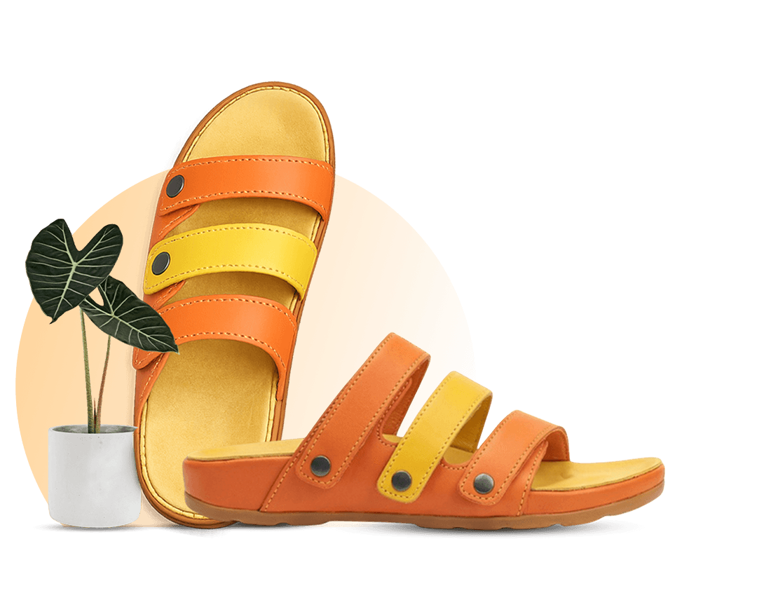 Multiplay sandal beside a potted plant